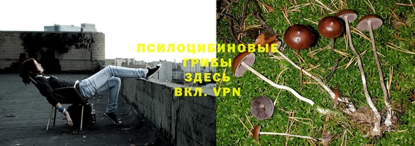 COCAINE Рославль