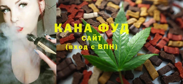 мдпв Богородицк